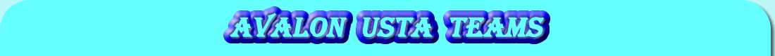 Avalon USTA teams